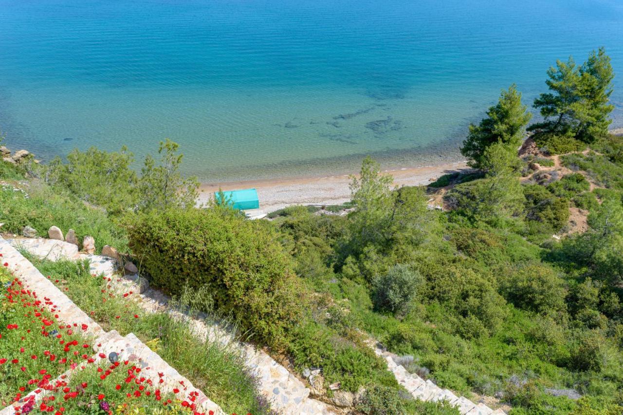 Crystal Beach Villa Chalkís 外观 照片